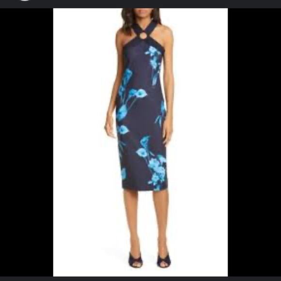 ted baker dress bodycon LEXI Mint Sheer Sleeve Bodycon Dress  Love Eden Online
